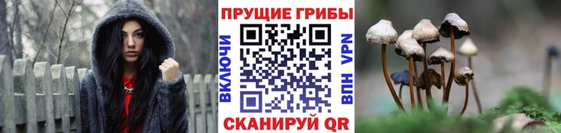 Галлюциногенные грибы ЛСД  Слободской 